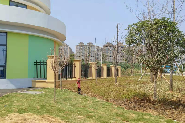 1577168093123884.jpg 1-8.jpg