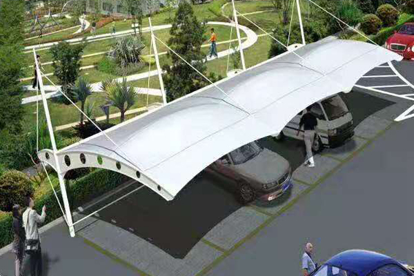 1577169236101684.jpg 4.jpg