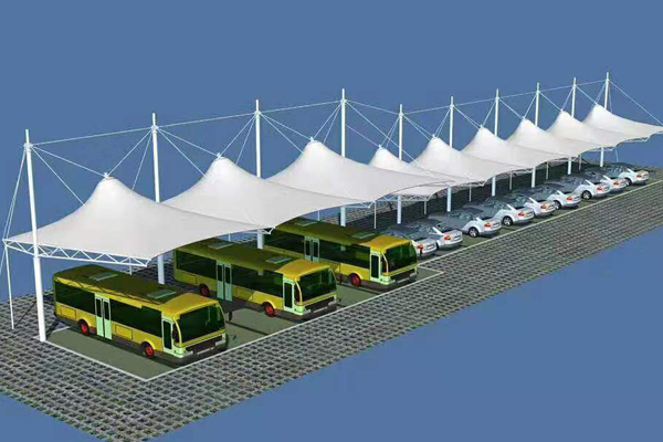 1577169241305353.jpg 5.jpg