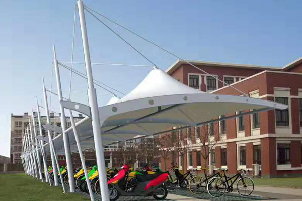 1577169245124224.jpg 6.jpg