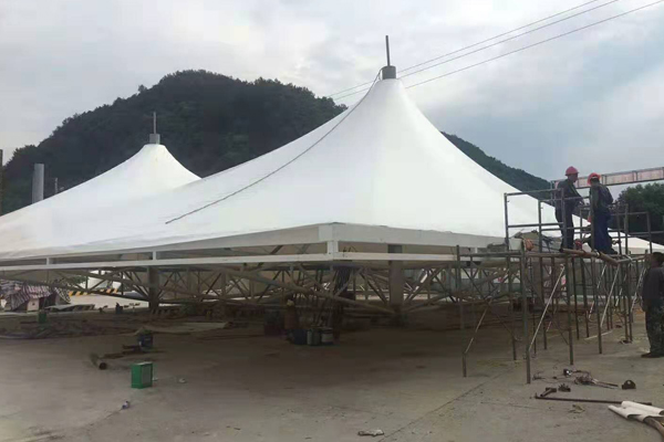 1577169305837871.jpg 9.jpg